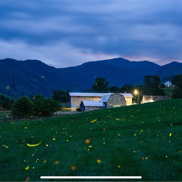 Meet your Posher, Heather - Picture 4 of 4